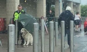Čuvar držao kišobran iznad psa kojeg su ostavili zavezanog na kiši i postao hit