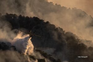 Više od 1.000 vatrogasaca na terenu: U Grčkoj aktivna čak 62 požara VIDEO
