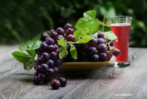 Vinari zadovoljno “trljaju ruke”: Ovogodišnji rod grožđa u Hercegovini veći za 25 odsto