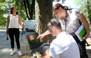 Odzvonilo nezdravim stablima u Banjaluci