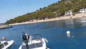 U moru kod Šibenika primjećen kit – VIDEO