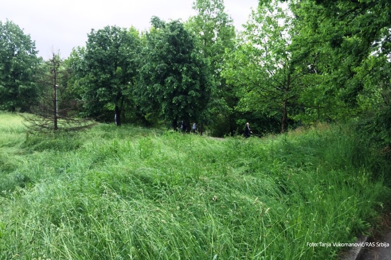 Riječ “Građanske patrole”: Nepokošene i zapuštene parcele muka za Banjalučane