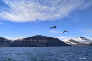 Najtopliji dan: Oboren temperaturni rekord u norveškom arhipelagu na Arktiku