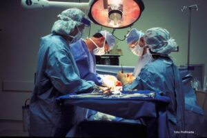 Zabrinjavajuće – odgođeno oko 50.000 operacija onkoloških bolesnika