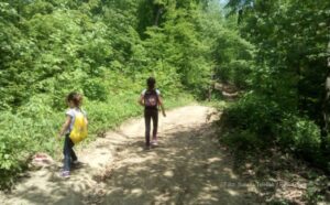 Za arboretum u Trapistima planirano milion maraka