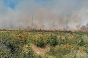 Vjetar i loš teren otežavaju gašenje: Buktinja ponovo digla na noge trebinjske vatrogasce