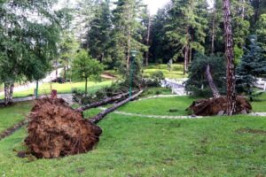 Nevrijeme napravilo veliku štetu: Objekti poplavljeni, vjetar čupao stabla FOTO