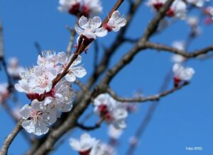 Red kiše, red sunca – za sutra spremite laganiju garderobu, ali ne izlazite bez kišobrana