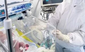 Mali lav se bori nakon smrti majke: Beba skinuta sa respiratora nakon 25 dana