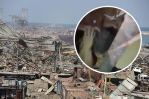 Djevojčica pronađena živa nakon što je 24 sata bila pod ruševinama u Bejrutu