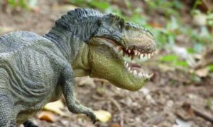 Naučnici u zanimljivoj misiji: Otkrivena nova vrsta krestastog dinosaurusa
