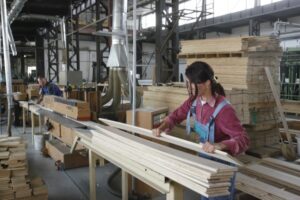 Radna mjesta sačuvana: Drvnoj industriji potrebna podrška institucija