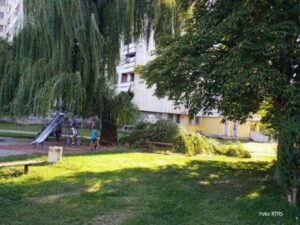 Nezgoda u Banjaluci: Stablo se srušilo na dječije igralište FOTO