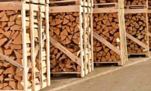 Proizvođači u problemima: Izvoz ogrevnog drveta koči transport