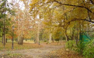 Najljepši park u Zemunu ima mračnu prošlost: U njemu je i Vuk Karadžić bio u karantinu