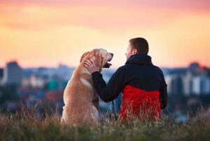 Odani prijatelji čuvaju zdravlje i sreću: Ljudi koji imaju pse žive duže