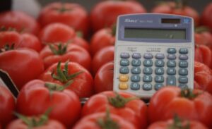 Kako da izaberete najbolji paradajz: Tri trika koja će vam olakšati kupovinu