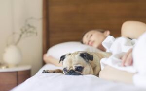 Da li je opasno za zdravlje da pas spava sa vama u krevetu?