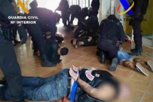 Međunarodna kriminalna grupa: Srpski “Pink Panter” uhapšen na plantaži marihuane na Tenerifima