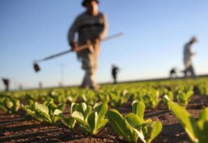 Farmeri zabrinuti zbog usjeva i stoke: Ograničava se upotreba vode zbog zimske suše