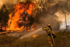 Žestoka borba sa požarima u Kaliforniji: Nekoliko vatrogasaca povrijeđeno, trojica završila u bolnici