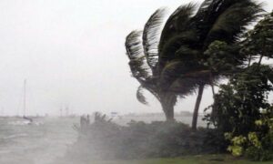 Tuga! Udari vjetra jačine uragana oborili stablo, poginulo dvoje djece