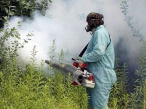 Fokus oko šetališta i rijeka: Počinje zaprašivanje komaraca u Banjaluci