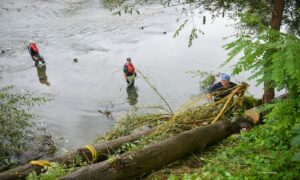 Sređivanje pred kišnu sezonu! Vatrogasci i Civilna zaštita čistili korito Vrbasa u Banjaluci VIDEO