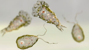 Katastrofa! Ameba koja “jede” mozak pronađena u vodovodima