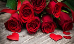 Cvjetni bonton i jasna pravila: Crvene ruže se ne poklanjaju tuđim ženama