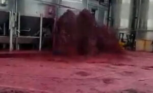 Radnici nijemo gledali katastrofu: Ulicama teklo 50.000 litara crvenog vina VIDEO