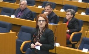 Šolaja tvrdi da Šarović lupa na otvorena vrata: Dodik i SNSD sigurno nisu adresa za to