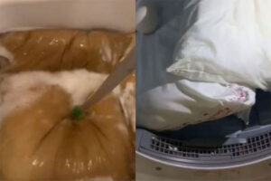 Baš je našla “prljavog” momka: Pokazala kako izgleda pranje jastuka nakon 10 godina VIDEO