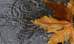 Prognoza “vidi” i kišu: U BiH danas promjenljivo oblačno uz duže sunčane periode