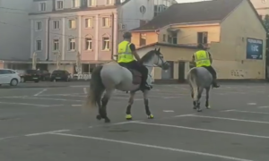 Prva patrola! Žandarmerija u Banjaluci dobila konjicu, od danas na ulicama grada VIDEO