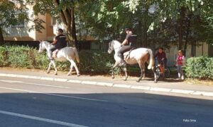 Redovan obilazak Banjaluke! Konjička patrola obradovala stanovništvo, posebno radoznale mališane