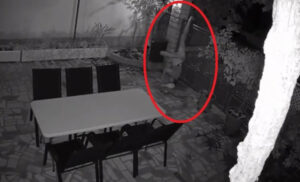 Horor u porodičnom dvorištu: Lopov se ubo na šiljak od kapije, pa visio dok nije došla Hitna