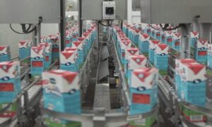 “Otkupićemo svaki ponuđeni litar”: Zalihe mlijeka u BiH veće od planiranih, ali razloga za brigu nema