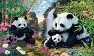 Izoštrite vid i zabavite se: Da li ste među rijetkim koji vide 15 pandi na ovoj slici