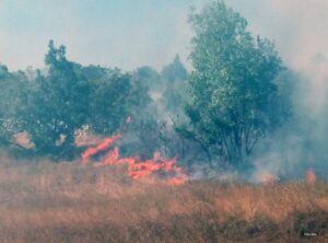 Veliki požar kod Bileće: Vatrogasci odbranili kuće od vatrene stihije
