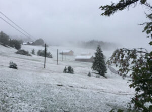 Bijelo, oko mene sve je bijelo… Pao snijeg u Austriji i Italiji, sutra stiže i u BiH