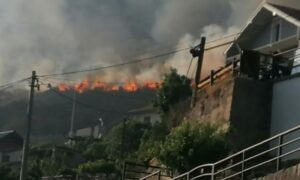 Ljudi mogu da odahnu! Vatra odbijena od kuća, požar stavljen pod kontrolu VIDEO, FOTO