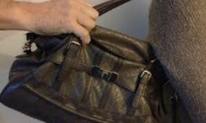 Kradljivac ukrao torbicu sa novcem: Policija u Derventi uhapsila lopova