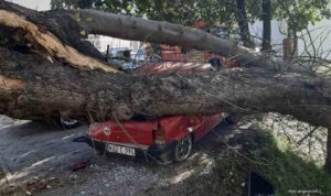 Drvo palo na automobil u Prnjavoru: Sreća niko nije bio u vozilu