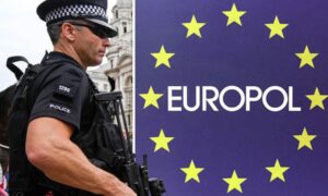 Velika akcija Europola: Zaplijenjena 352 ukradena vozila i desetine falsifikovanih dokumenata