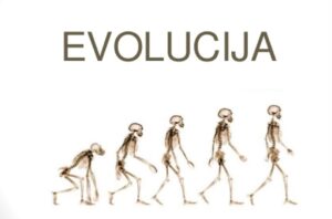 Istraživanje utvrdilo da evolucija nije stala: Sve češće se rađamo bez umnjaka i imamo još jednu arteriju
