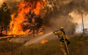 Veliki požar zahvatio jug Kalifornije: Naređena evakuacija 60.000 ljudi
