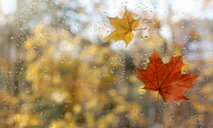 Petak “krase” boje jeseni! Prognoza za sutra najavljuje oblake, vjetar, sunce, ali i kišu