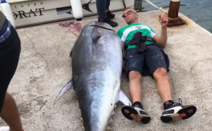 Da li je u Budvi ikada ulovljena veća tuna