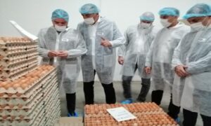 “Prioriteti u radu”: Košarac poručuje da je bitno mogućiti izvoz konzumnih jaja u zemlje EU